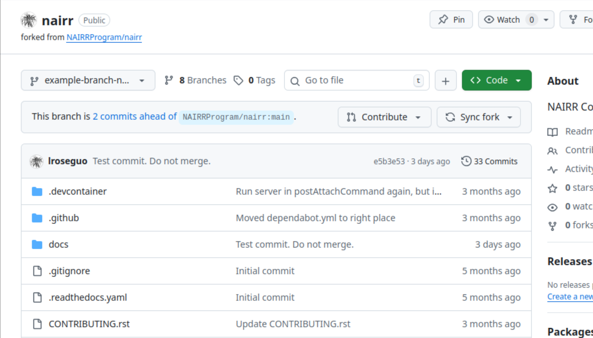 The 'Code' page on an example branch on a repository forked from NAIRRPilot/nairr.